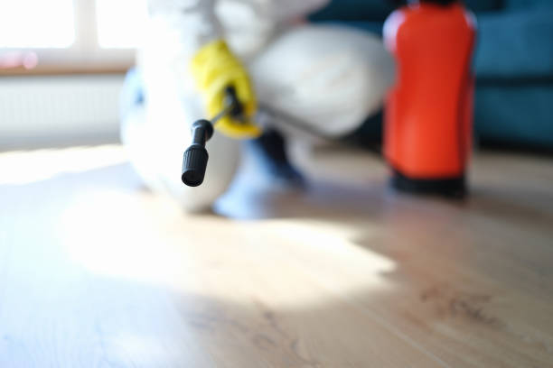 Best Commercial Mold Inspection  in Oak Park, CA