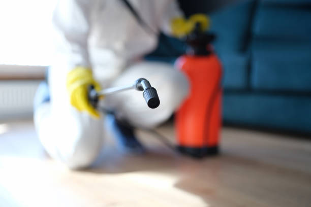 Best Indoor Air Quality Assessment  in Oak Park, CA